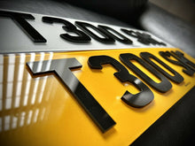 Load image into Gallery viewer, 4d plates